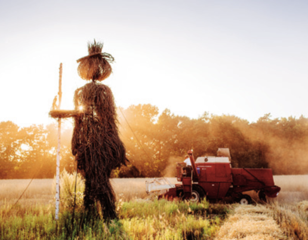 Feldkulturerbe Titel